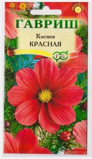 Космея Красная (Код: 4895)