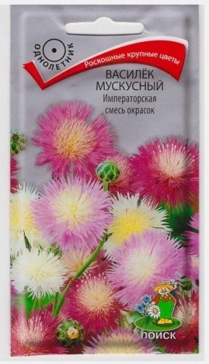Василек Мускусный Императорская смесь (Код: 16746)