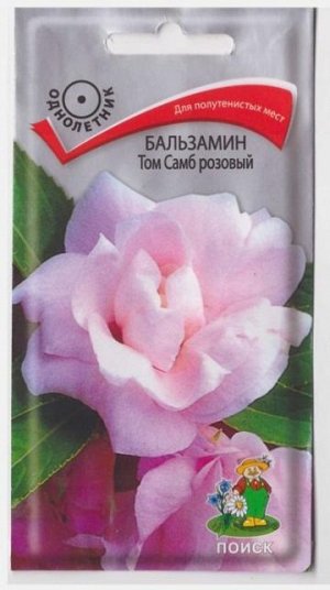 Бальзамин Том Самб Розовый (Код: 65720)