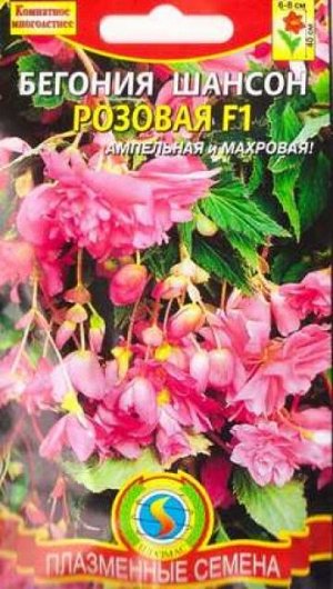 Бегония Шансон розовая F1 (Код: 87272)