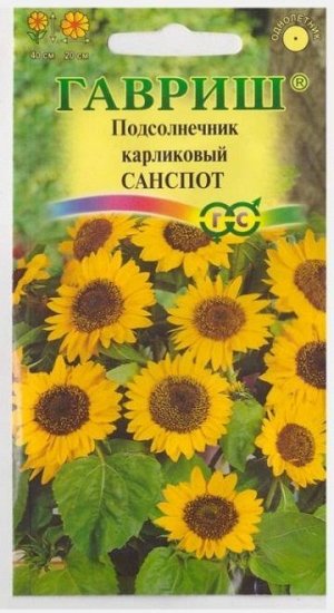 Подсолнечник Санспот (Код: 13140)