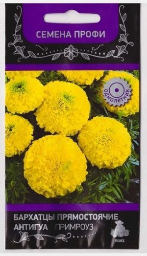 Бархатцы Антигуа Примроуз (Код: 73446)