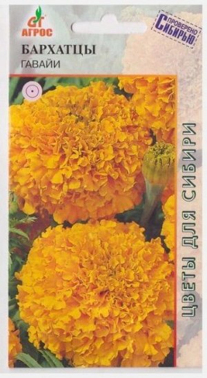 Бархатцы Гавайи (Код: 70538)