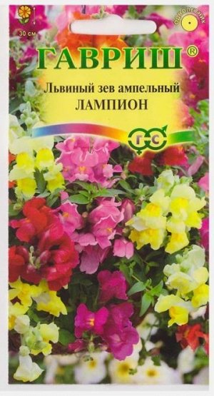 Львиный зев Лампион смесь (Код: 11689)