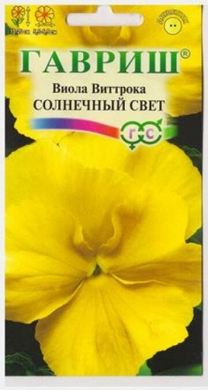 Виола Солнечный свет (Код: 14196)