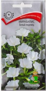 Мирабилис Белый Леденец (Код: 72325)