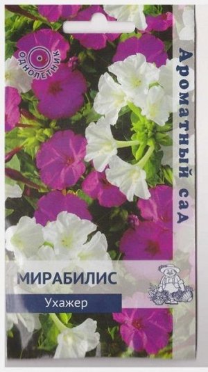Мирабилис Ухажер (Код: 76338)