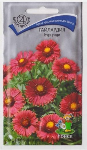 Гайлардия Бургунди (Код: 69538)
