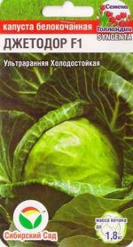 Капуста б/к Джетодор F1 (Код: 86599)