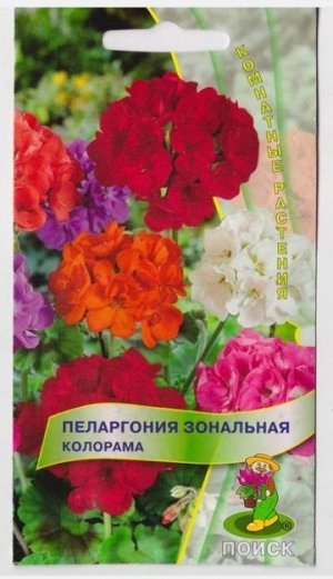 Пеларгония Калорама (Код: 15292)