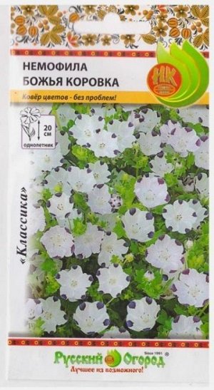 Немофила Божия коровка (Код: 2901)