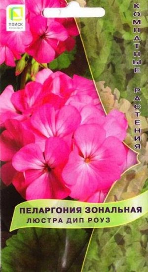 Пеларгония Люстра Дип роуз (Код: 85710)
