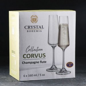 Набор стеклянных бокалов для шампанского Corvus, 160 мл, 6 шт