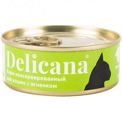 Лакомства для ваших питомцев, витамины, гигиена, игрушки — Корма для кошек Delicana