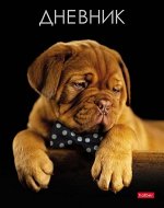 Дневник 1-11 класс (твердая обложка) &quot;Щенок с бантиком&quot; (074557) 27371 Хатбер {Россия}