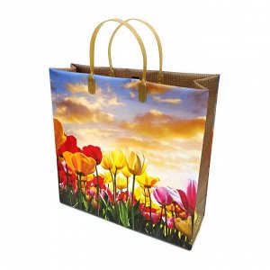 Пакет сумка размер 30*30см "Цветочное поле"