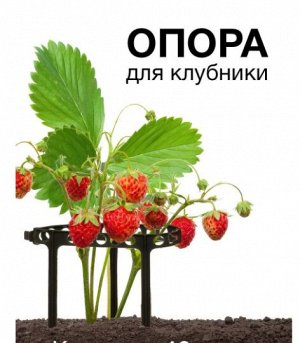 Кустодержатель для клубники и др. растений 34.4х14.5см. d-11 см