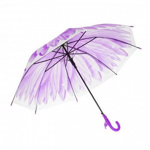 Зонт-трость «Гербера», полуавтоматический, со свистком, R=41см, цвет фиолетовый