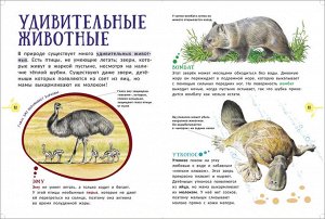 Животные.  Гигантская энциклопедия
