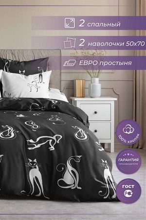 Постельное белье из бязи, 2,0 сп с европростыней, наволочки 50*70 Ночь Нежна