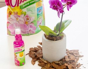 Спрей питательно-увлажняющий Орхидея, 100мл
