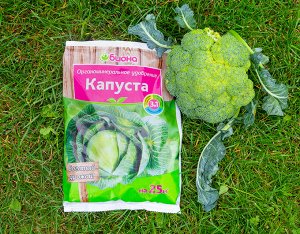 BIONA Капуста, 500г Биона