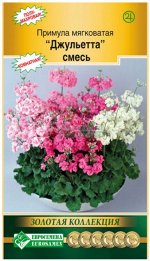 Цветы Примула Джульетта Смесь ЦВ/П (ЕС) 3шт комнатное