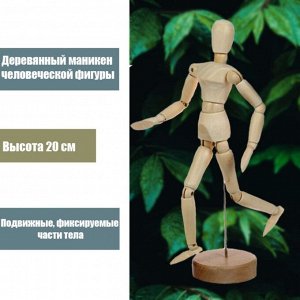 Деревянная модель - Человек 20 см