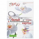 Набор картона белого А4  20л НАБОР № 41 11-420-109 Альт {Россия}
