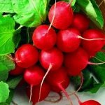 Семена Редис &quot;Король на рынке&quot;, бп, 2 г