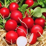 Семена Редис &quot;Ранний красный&quot;, 3 г