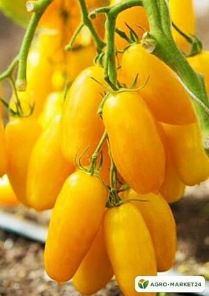 Семена Томат "Буян" желтый, раннеспелый, 20 шт