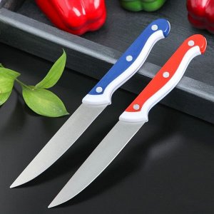 Нож кухонный «Волна», лезвие 10 см, цвет МИКС 944312
