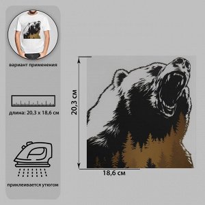 Термотрансфер «Дикий медведь», 18,6 ? 20,3 см