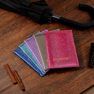 Обложка для паспорта, ПВХ