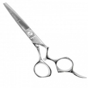 1709 Ножницы «Pro-scissors S» прямые, 6"