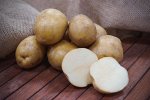 Картофель Вега/Россия/ 2.5 кг сетка