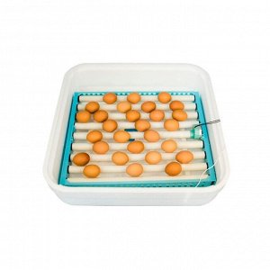 Инкубатор бытовой «Птичий двор», на 54 яйца, 220 В, 1 коробка