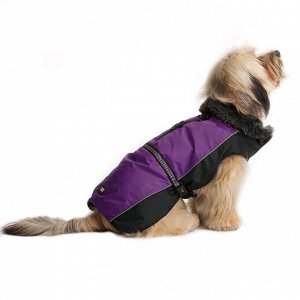 Нано куртка Dog Gone Smart Aspen parka зимняя с меховым воротником, ДС 20, 3 см, фиолетовая