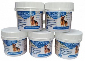 будь здоров для собак