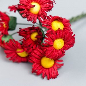 Цветы для декорирования "Ноготки" бордо 1 букет=10 цветов 7 см