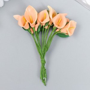 Цветы для декорирования "Персиковые каллы" 1 букет=12 цветов 11 см