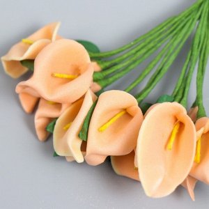 Цветы для декорирования "Персиковые каллы" 1 букет=12 цветов 11 см