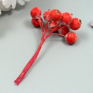 Декор для творчества "Ягодка рябины" 1 букет=10 ягод красный иней 10х1,5 см