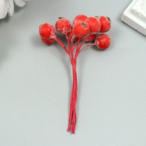 Декор для творчества "Ягодка рябины" 1 букет=10 ягод красный иней 10х1,5 см