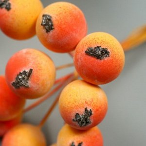Декор для творчества "Ягодка рябины" 1 букет=10 ягод оранжево-жёлтый 10х1,5 см