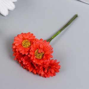 Цветы для декорирования "Хризантемы коралловые" 1 букет=6 цветов 10 см
