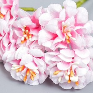 Цветы для декорирования "Пион Лоллипоп" 1 букет=6 цветов бело-розовый 9 см