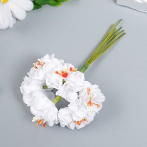 Цветы для декорирования "Пион Лоллипоп" 1 букет=6 цветов белый 9 см
