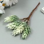 Искусственный суккулент для создания флорариума &quot;Столетник&quot; 1 букет=6 веточек иней 13 см